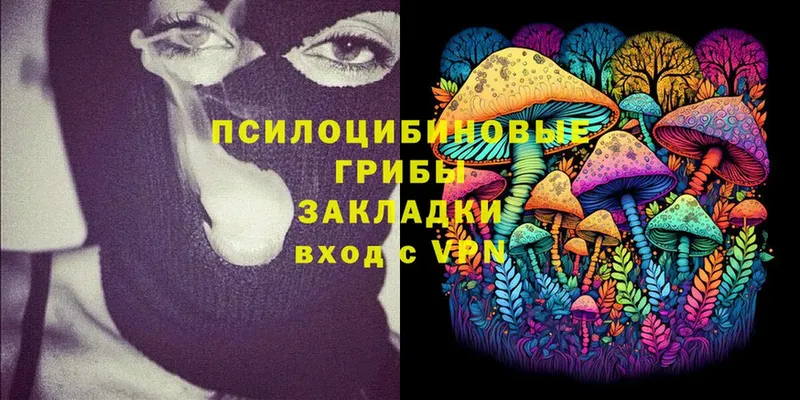 Псилоцибиновые грибы Psilocybe  Владивосток 